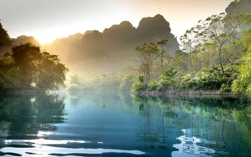 节能绿色绿色